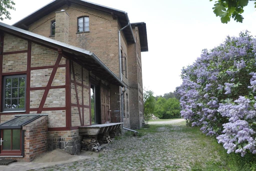 Romantisches Studio Am Waldesrand Mit Gartensauna Schwarz  Экстерьер фото