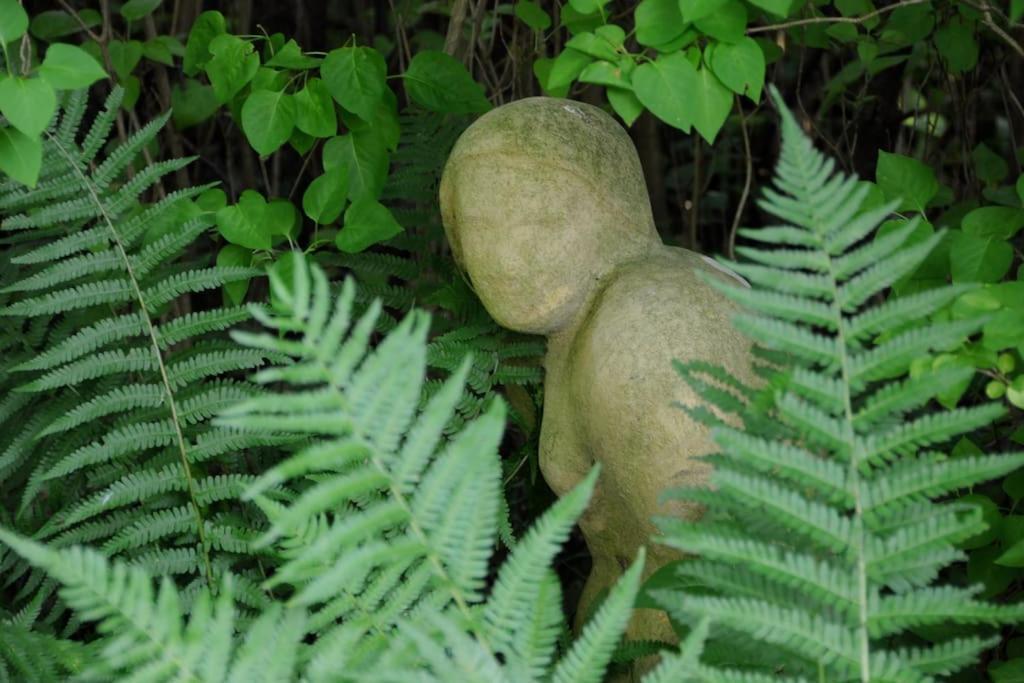 Romantisches Studio Am Waldesrand Mit Gartensauna Schwarz  Экстерьер фото